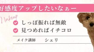 🐾「何か企んでる？」って顔しちゃった🐶✨ 