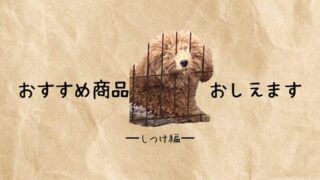 犬の無駄吠えを解決！「無駄吠えのしつけプラス」の効果とは？ 